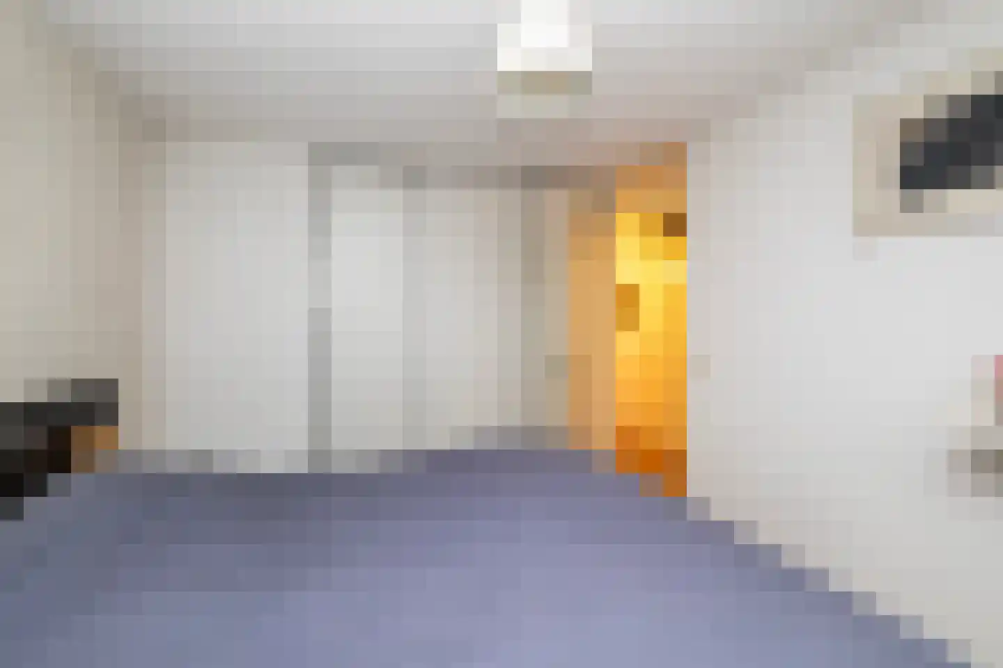 Elzenmos 80 Zwolle thumbnail 30