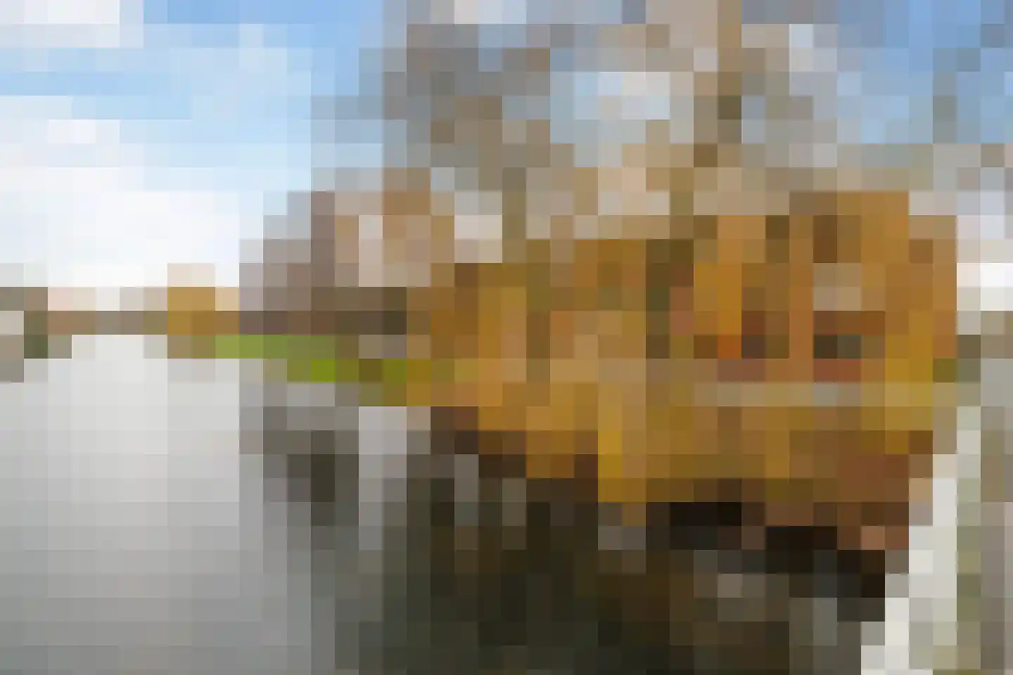 Elzenmos 80 Zwolle thumbnail 38