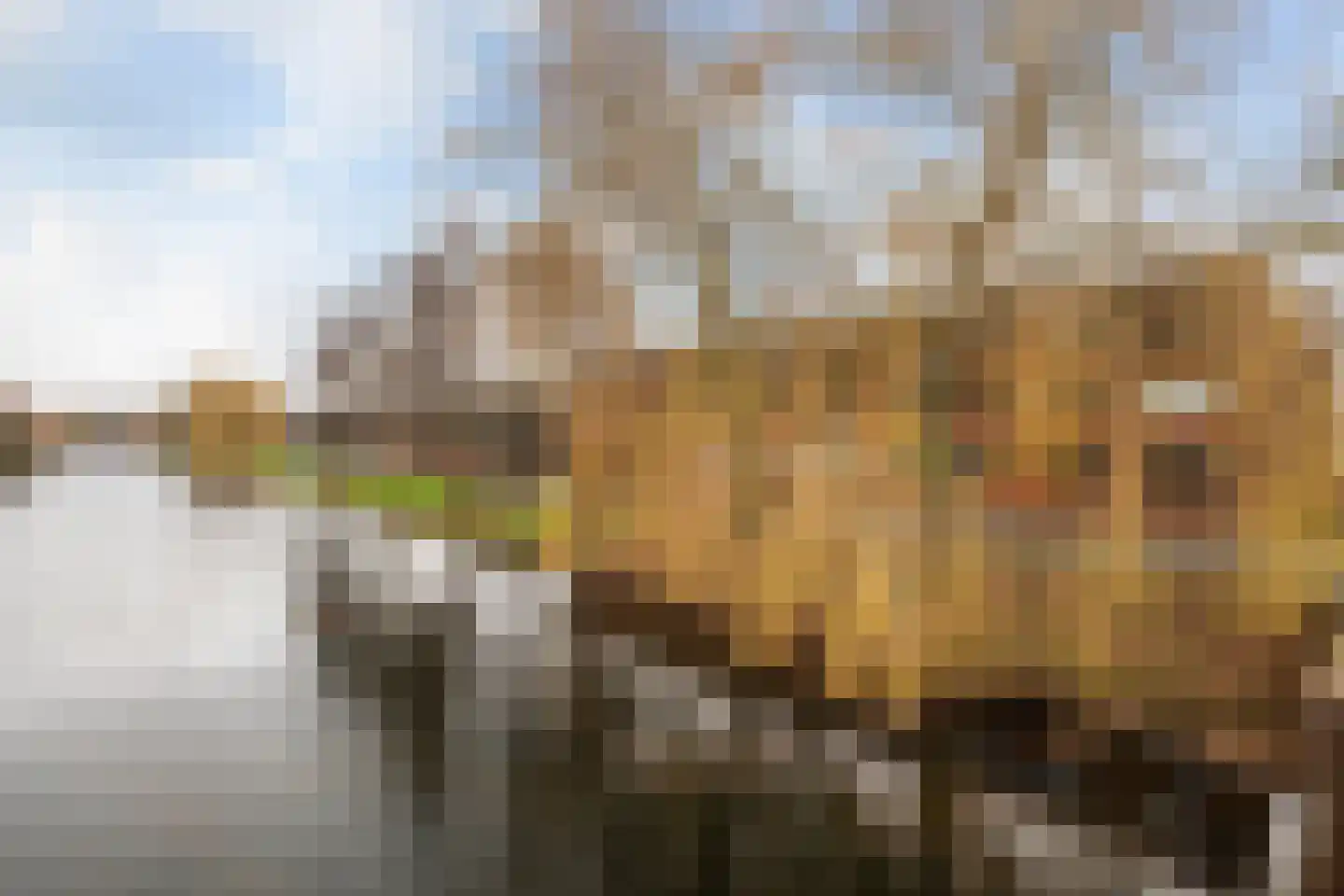 Elzenmos 80 Zwolle thumbnail 39