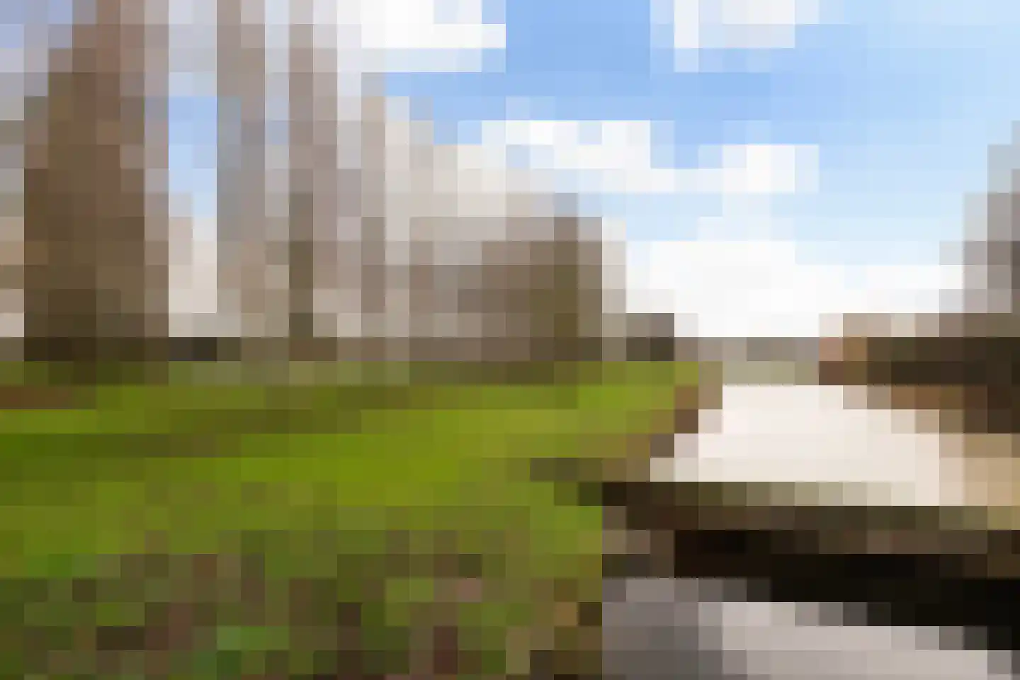 Elzenmos 80 Zwolle thumbnail 40