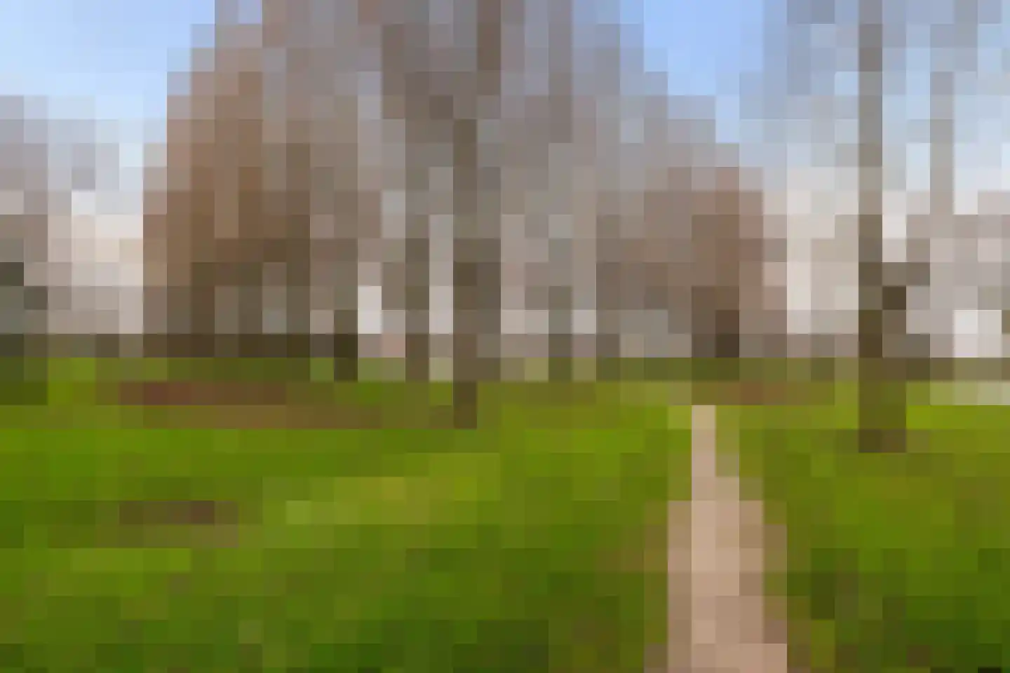 Elzenmos 80 Zwolle thumbnail 41