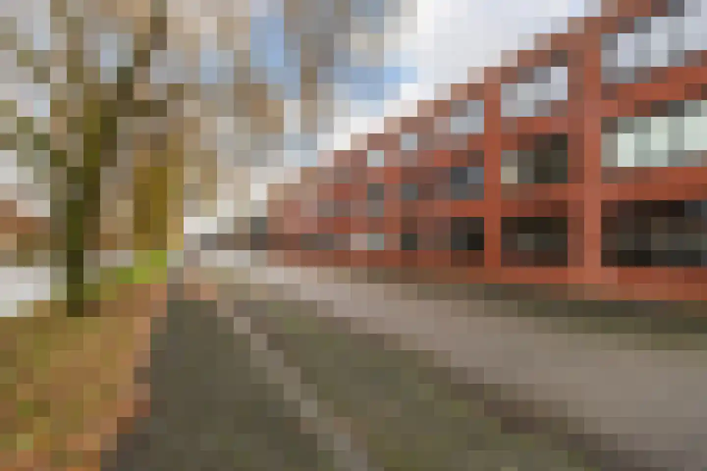 Elzenmos 80 Zwolle thumbnail 5