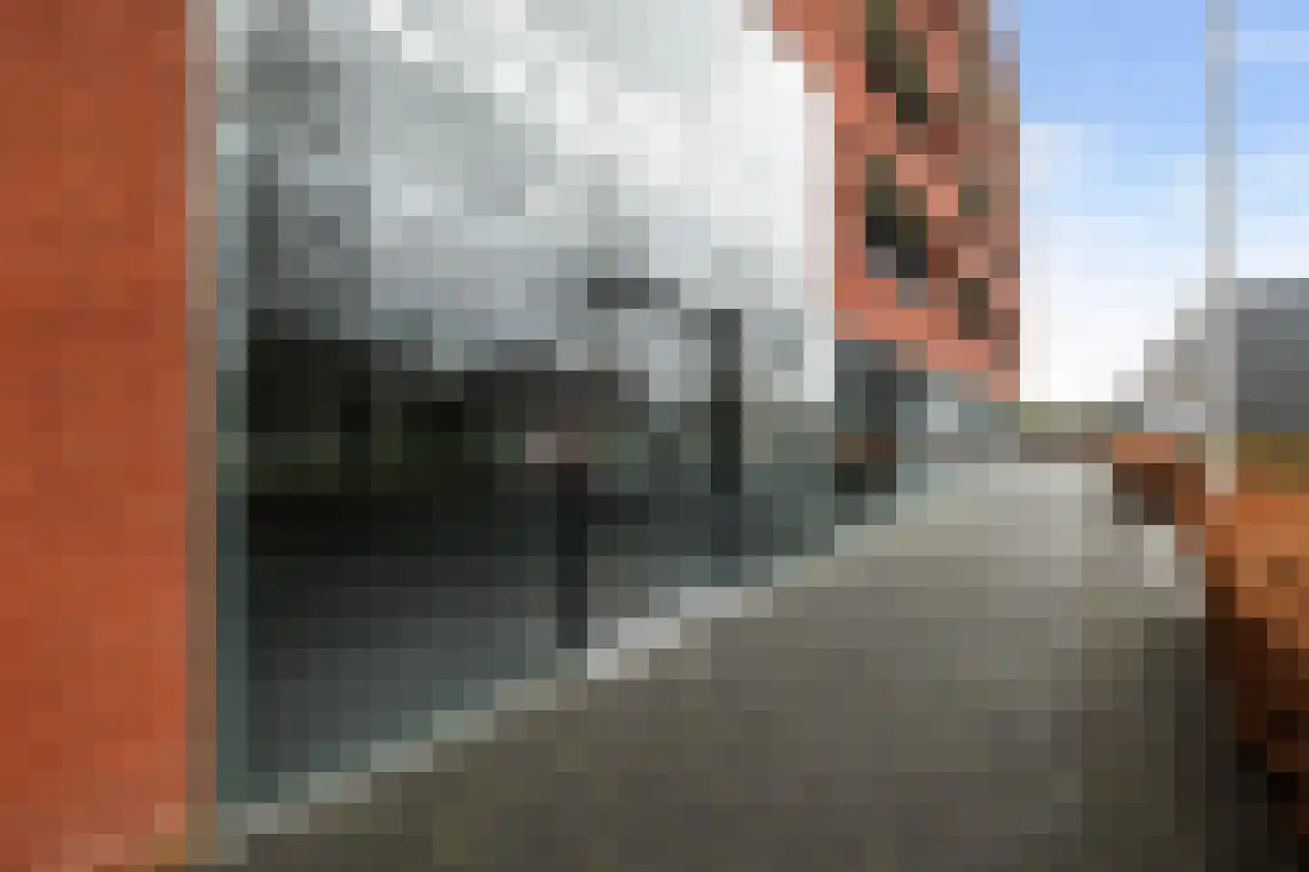 Elzenmos 80 Zwolle thumbnail 8