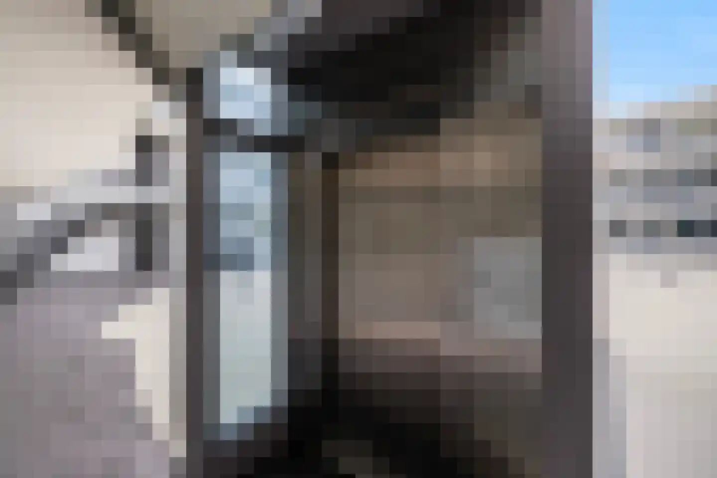 Elzenmos 80 Zwolle thumbnail 9