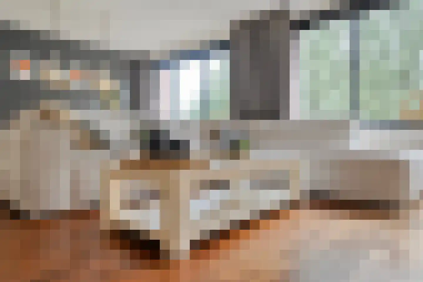 Elzenmos 88 Zwolle thumbnail 11