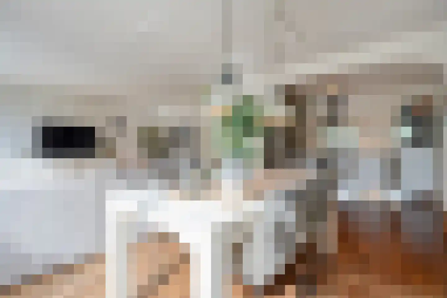 Elzenmos 88 Zwolle thumbnail 13