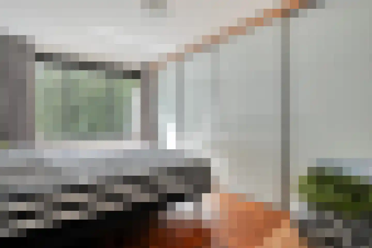 Elzenmos 88 Zwolle thumbnail 18