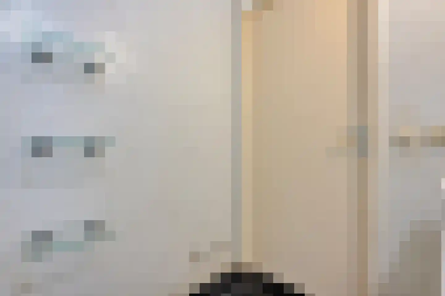 Elzenmos 88 Zwolle thumbnail 24