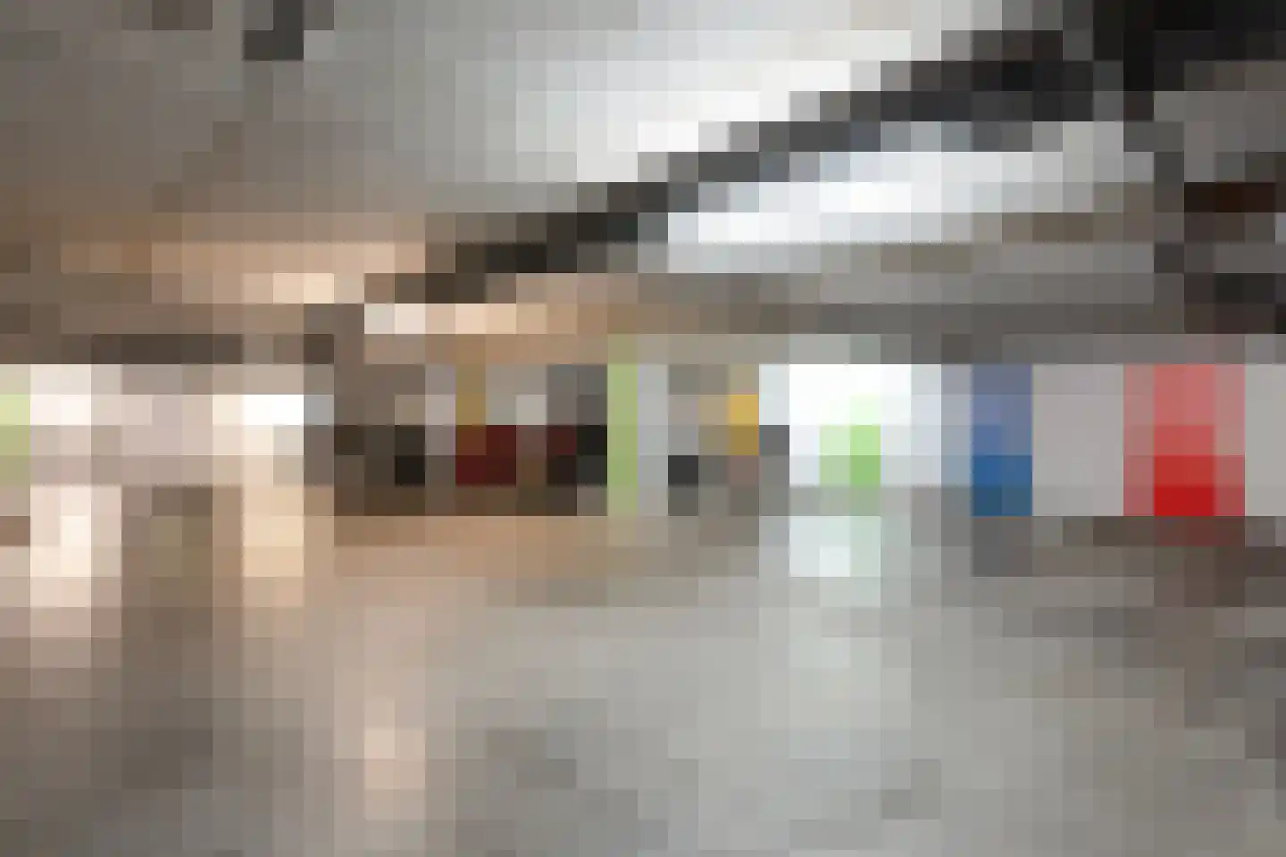 Elzenmos 88 Zwolle thumbnail 26