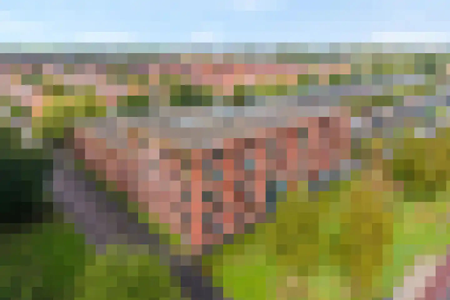 Elzenmos 88 Zwolle thumbnail 29