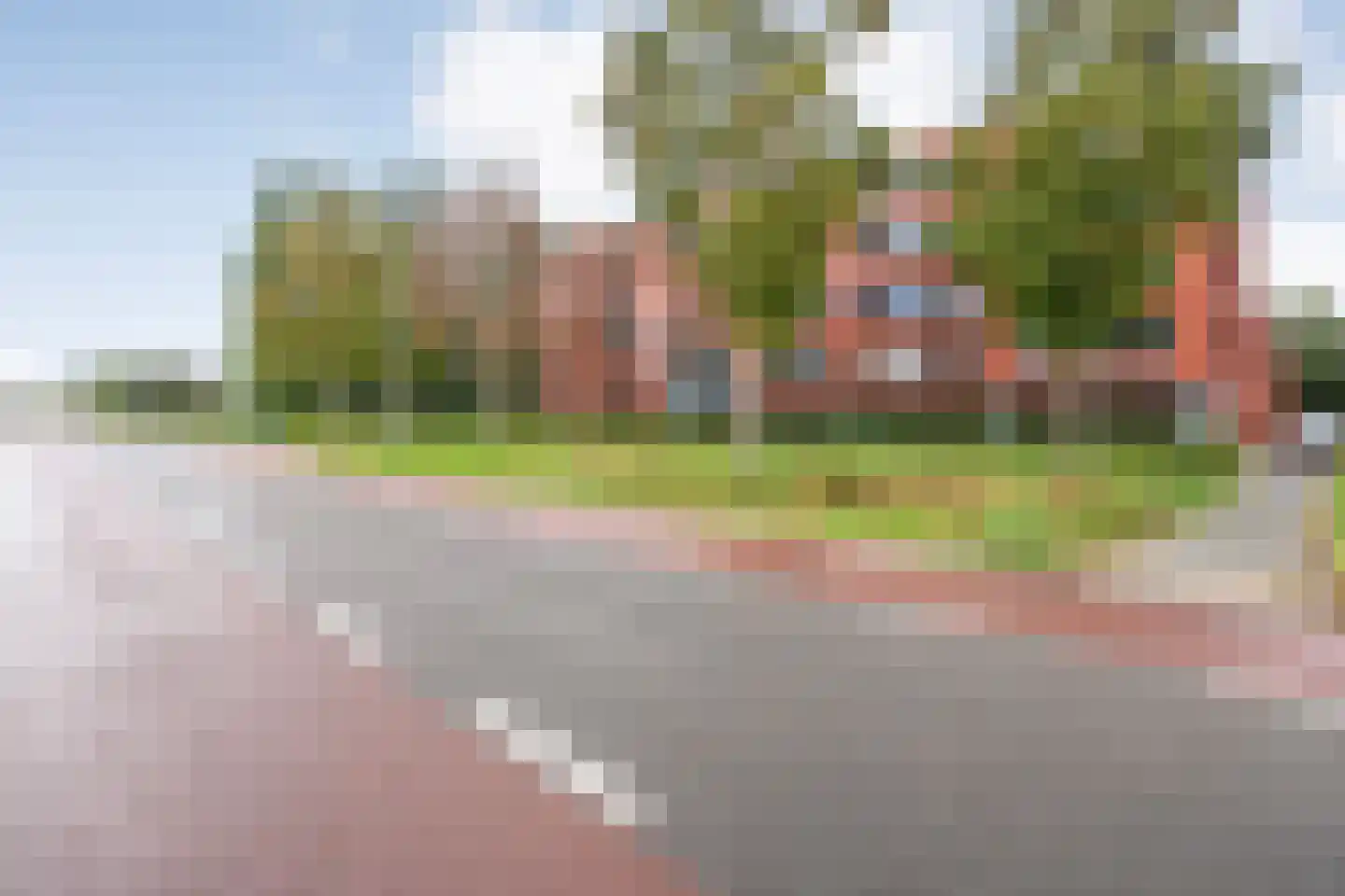 Elzenmos 88 Zwolle thumbnail 31