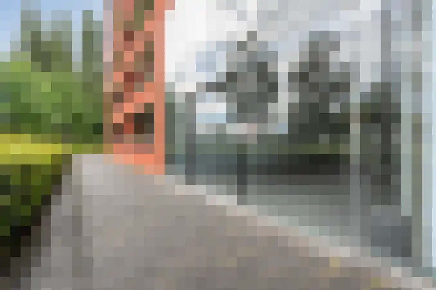 Elzenmos 88 Zwolle thumbnail 32