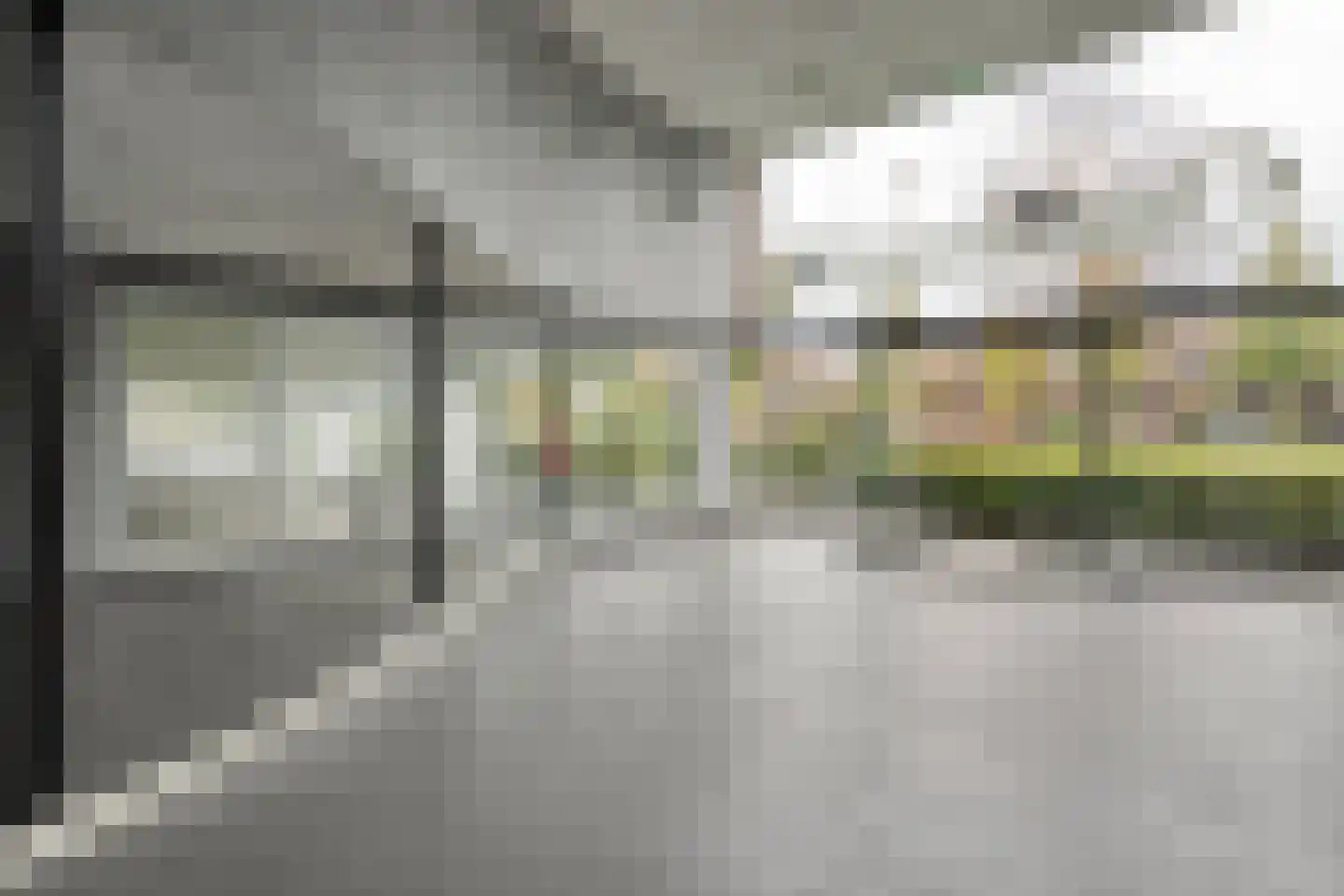 Elzenmos 88 Zwolle thumbnail 34