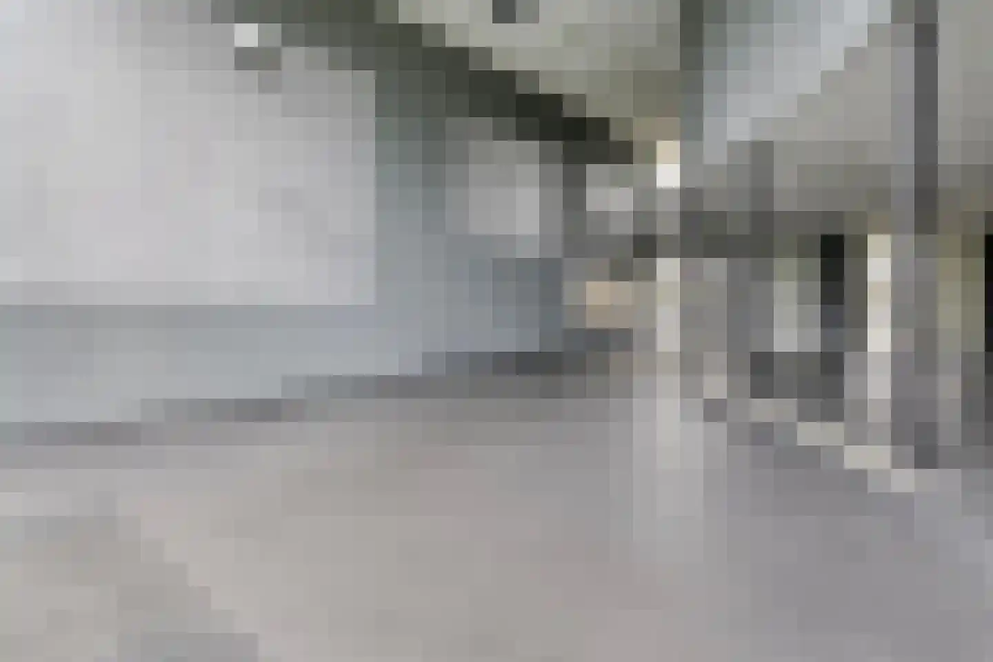Elzenmos 88 Zwolle thumbnail 35
