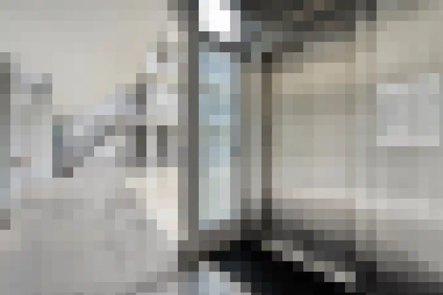 Elzenmos 88 Zwolle thumbnail 36