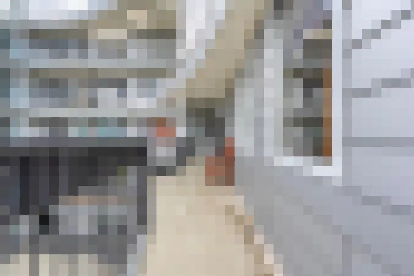 Elzenmos 88 Zwolle thumbnail 38