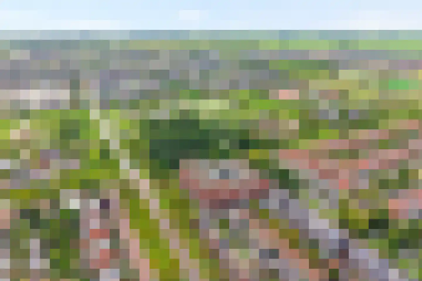 Elzenmos 88 Zwolle thumbnail 40
