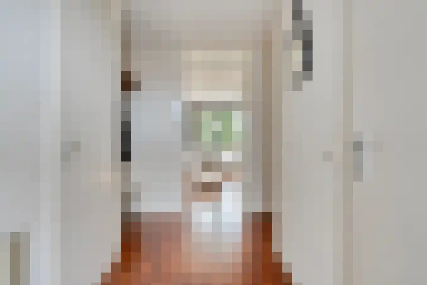 Elzenmos 88 Zwolle thumbnail 6