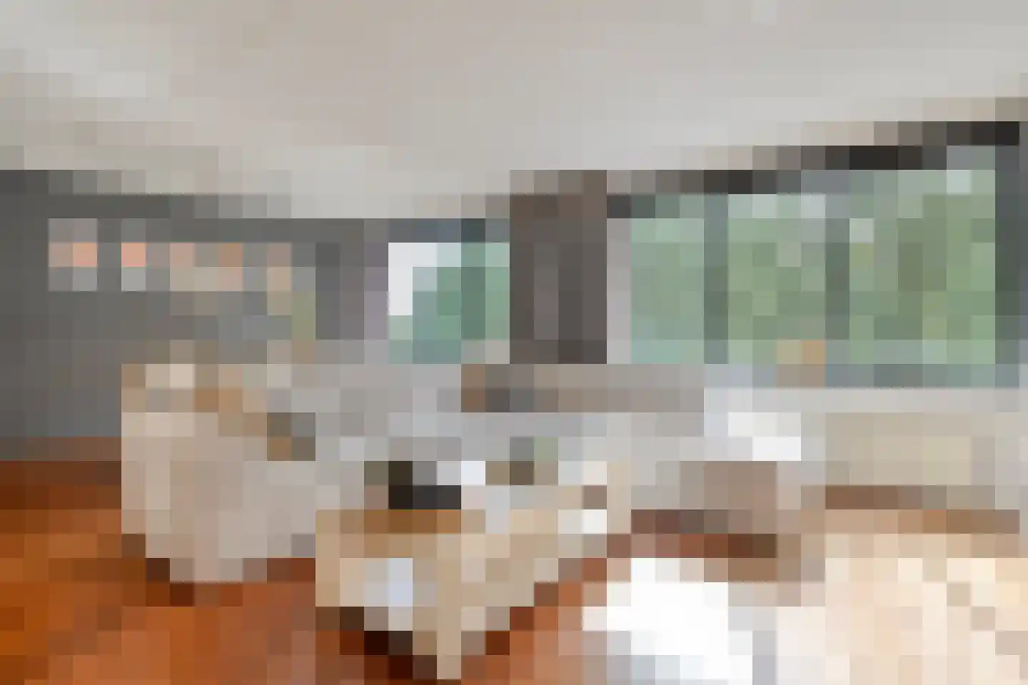 Elzenmos 88 Zwolle thumbnail 8