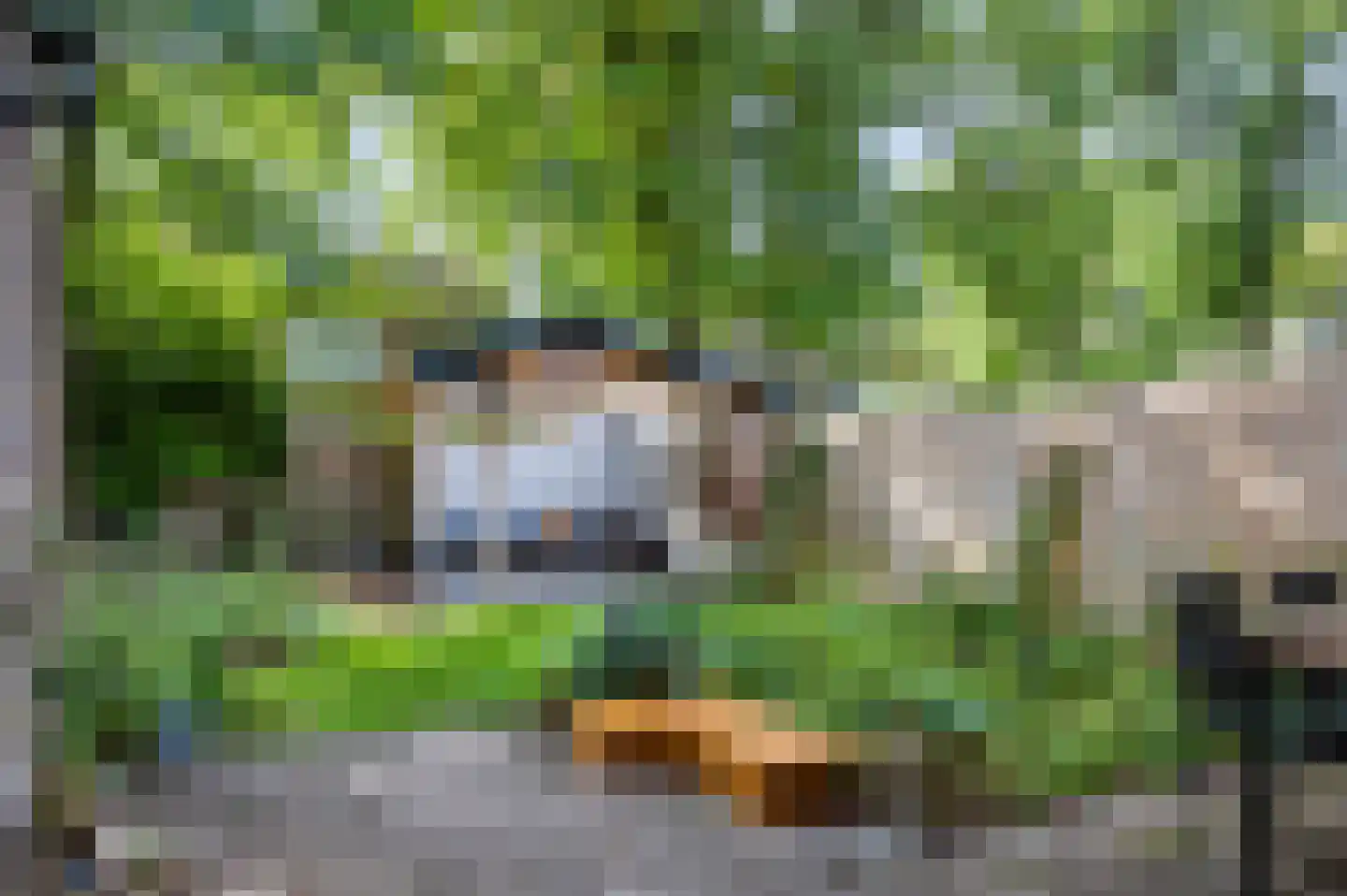 Elzenoord 1 Vaassen thumbnail 18