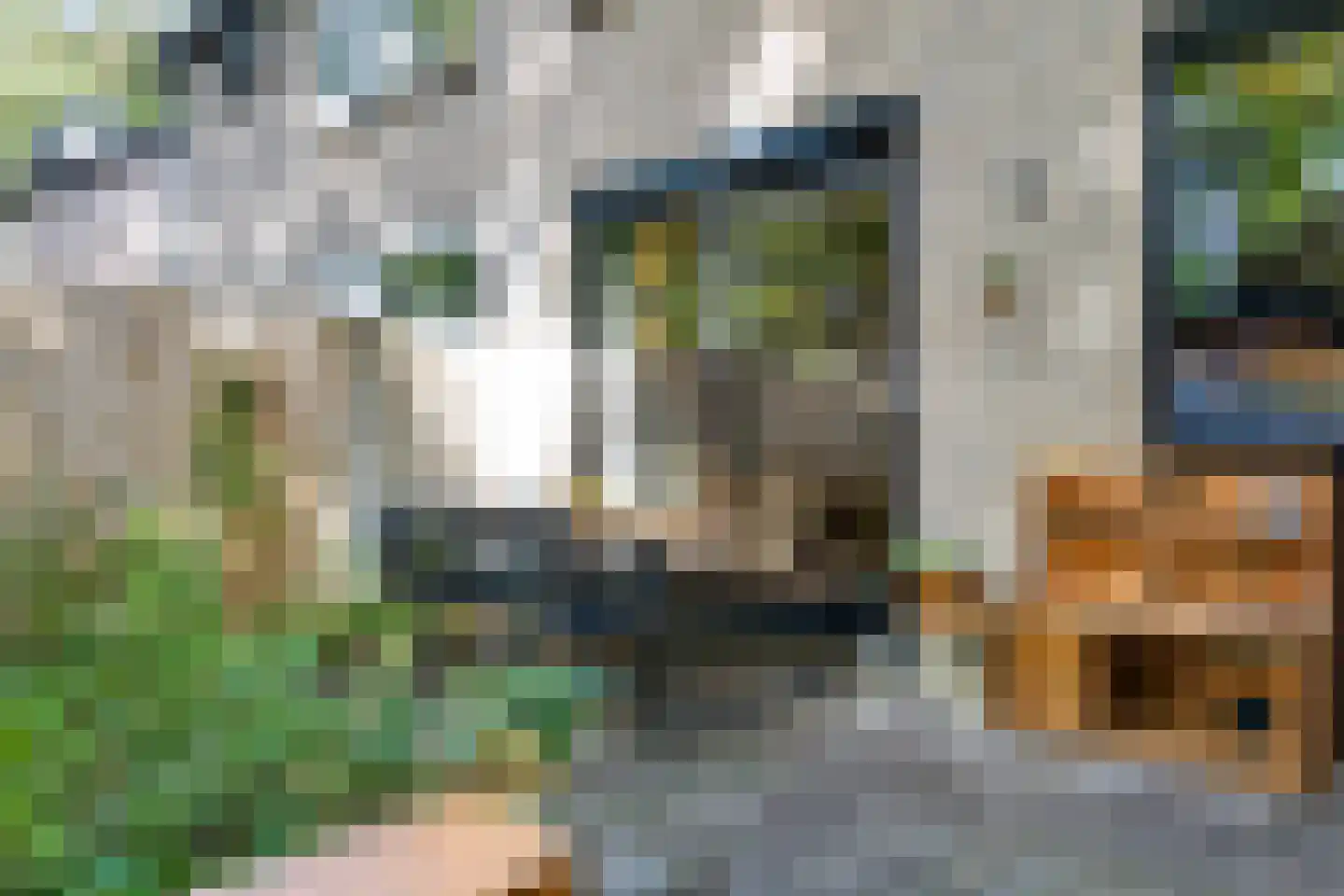 Elzenoord 1 Vaassen thumbnail 19