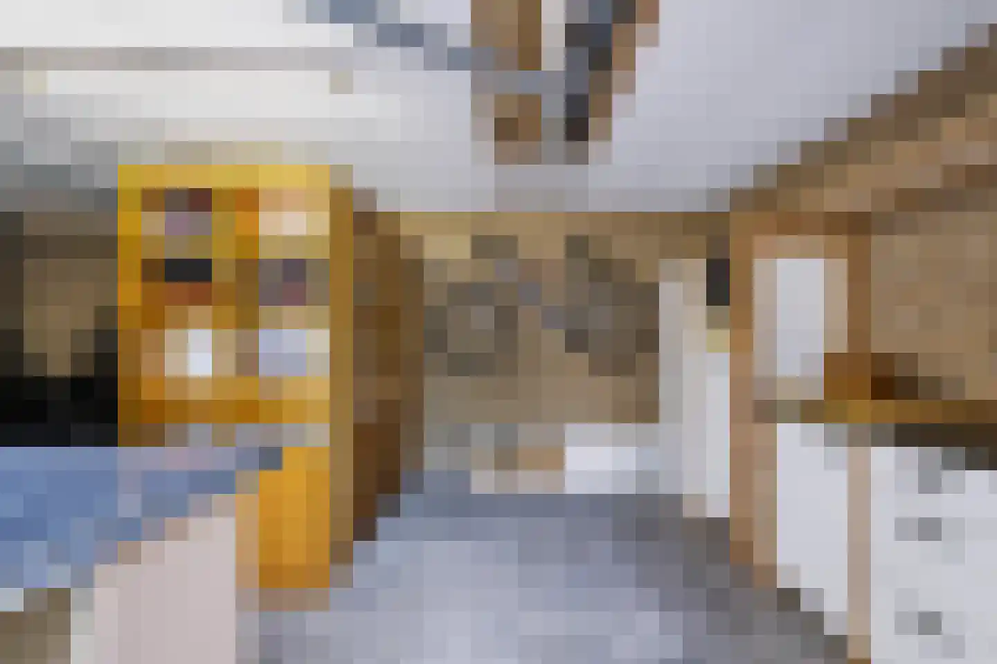 Elzenoord 1 Vaassen thumbnail 22