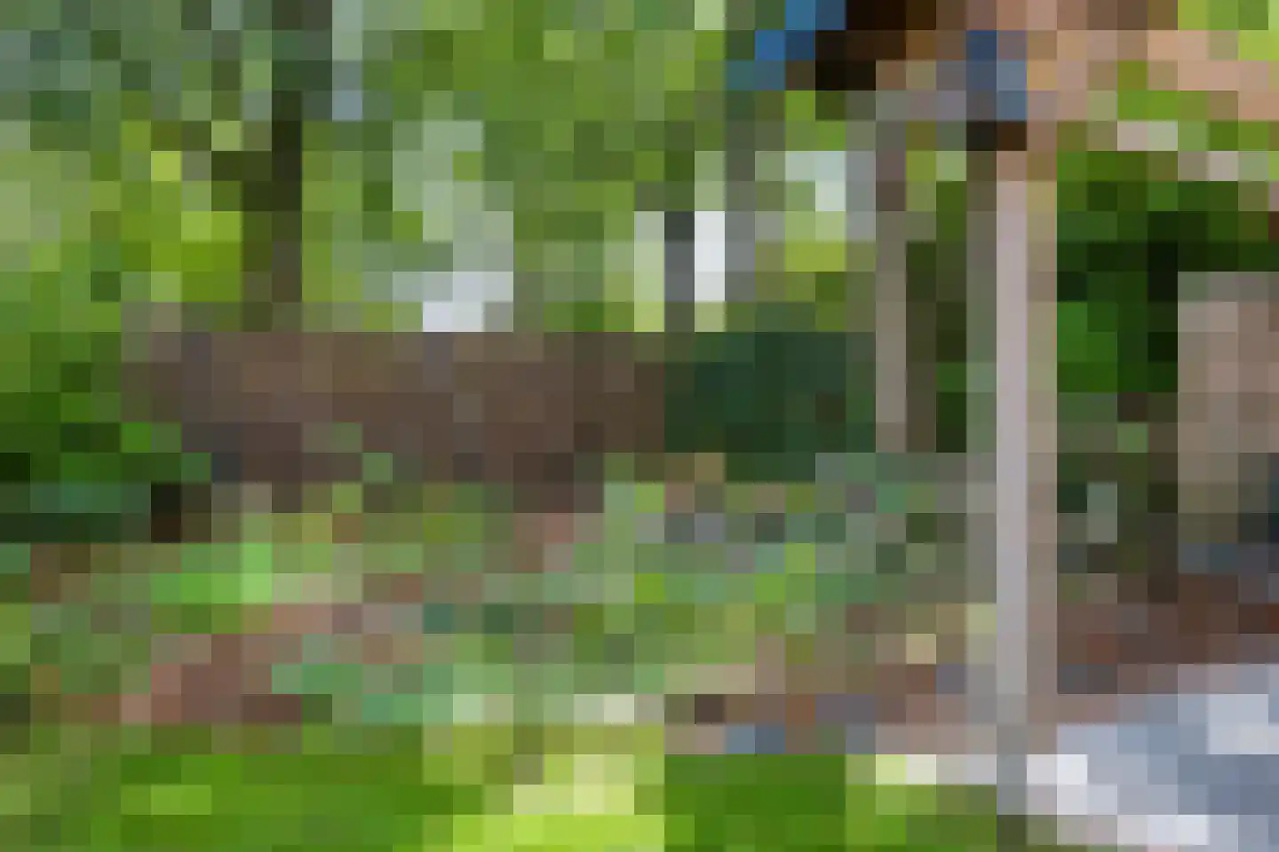 Elzenoord 1 Vaassen thumbnail 23