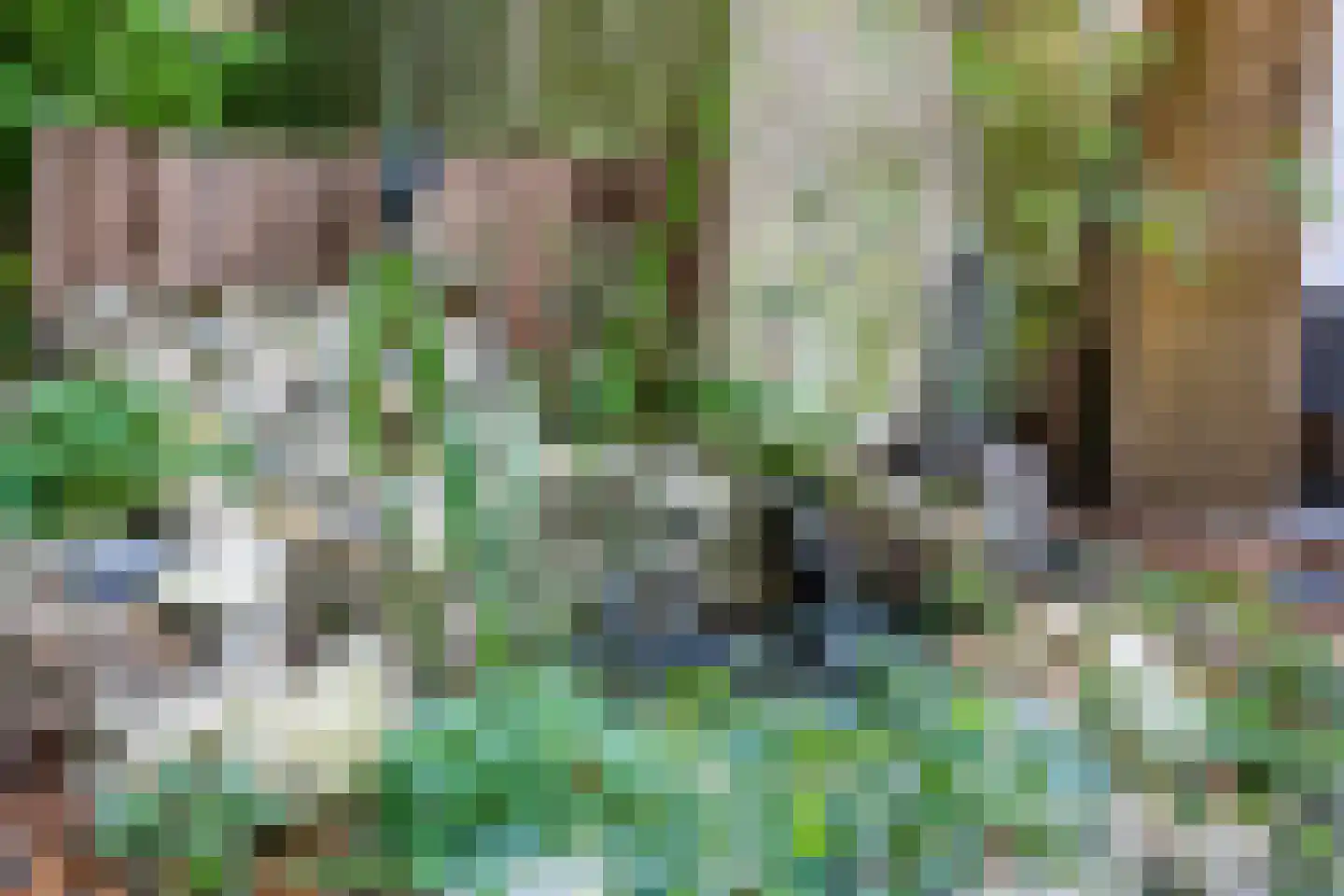 Elzenoord 1 Vaassen thumbnail 27