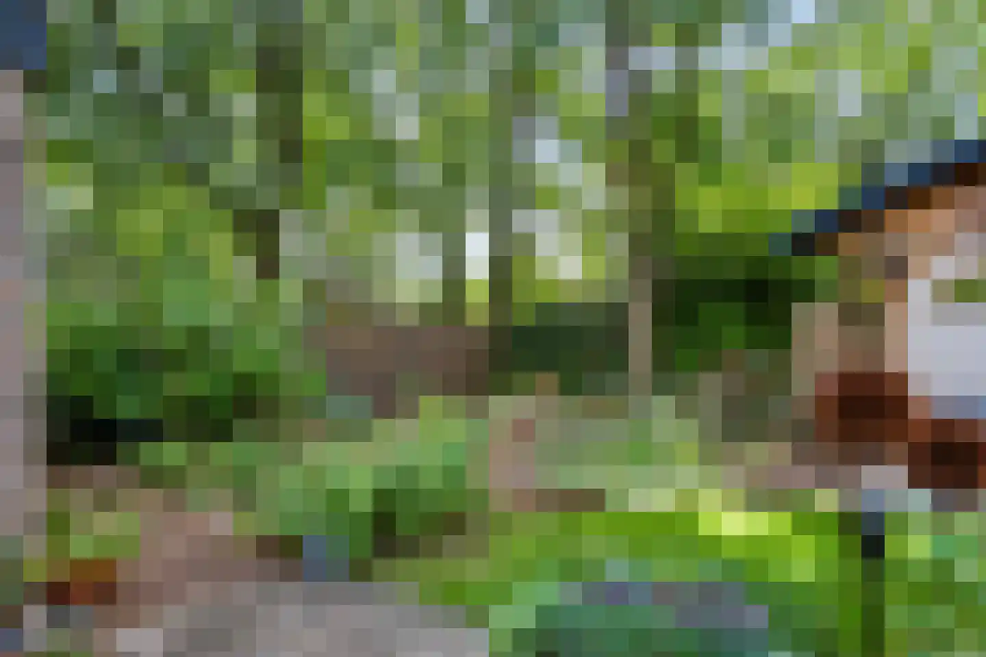 Elzenoord 1 Vaassen thumbnail 28