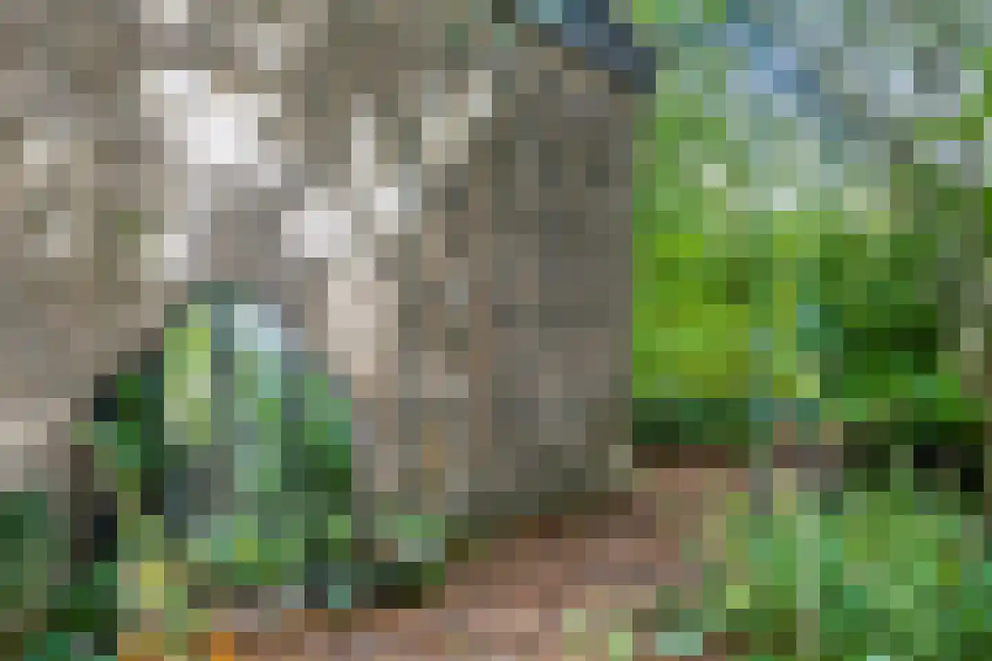 Elzenoord 1 Vaassen thumbnail 29