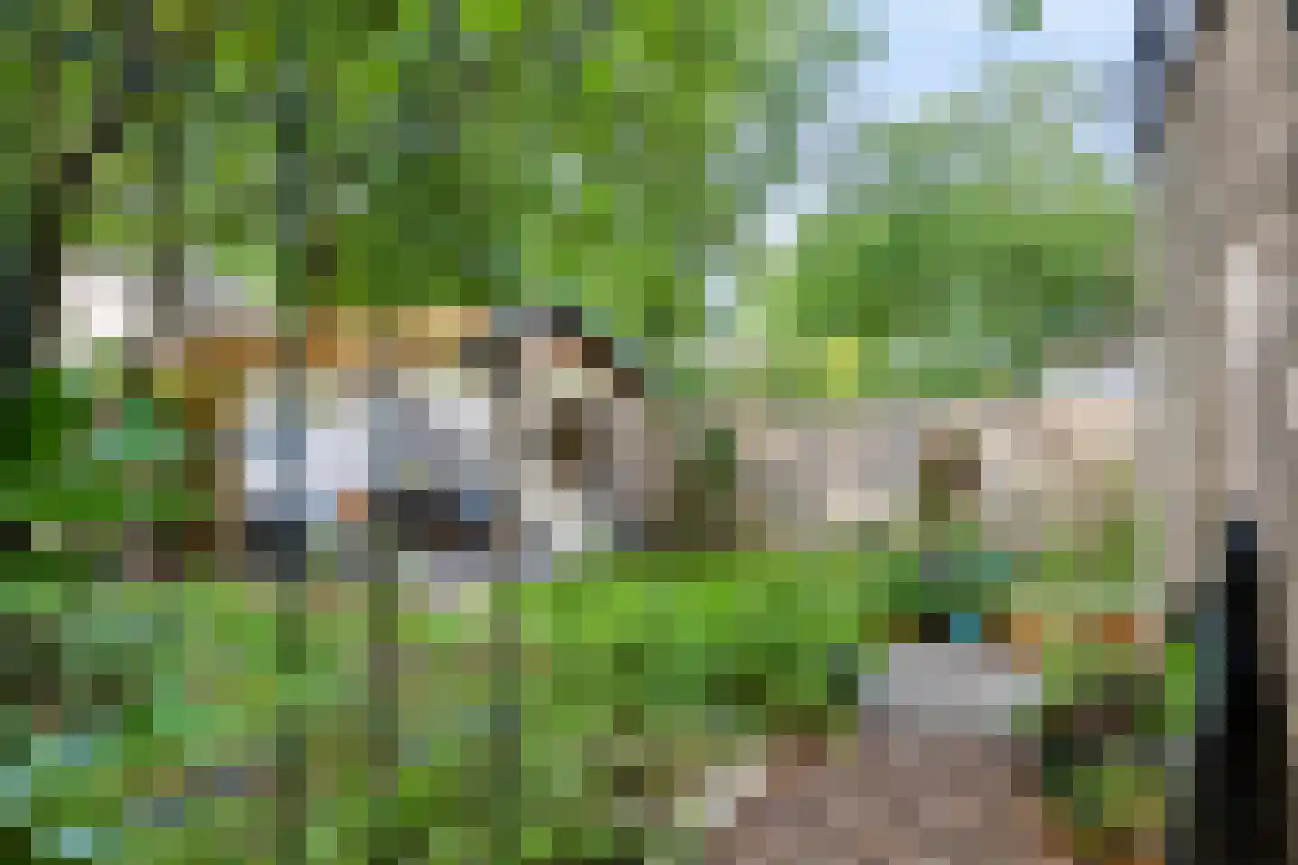 Elzenoord 1 Vaassen thumbnail 30