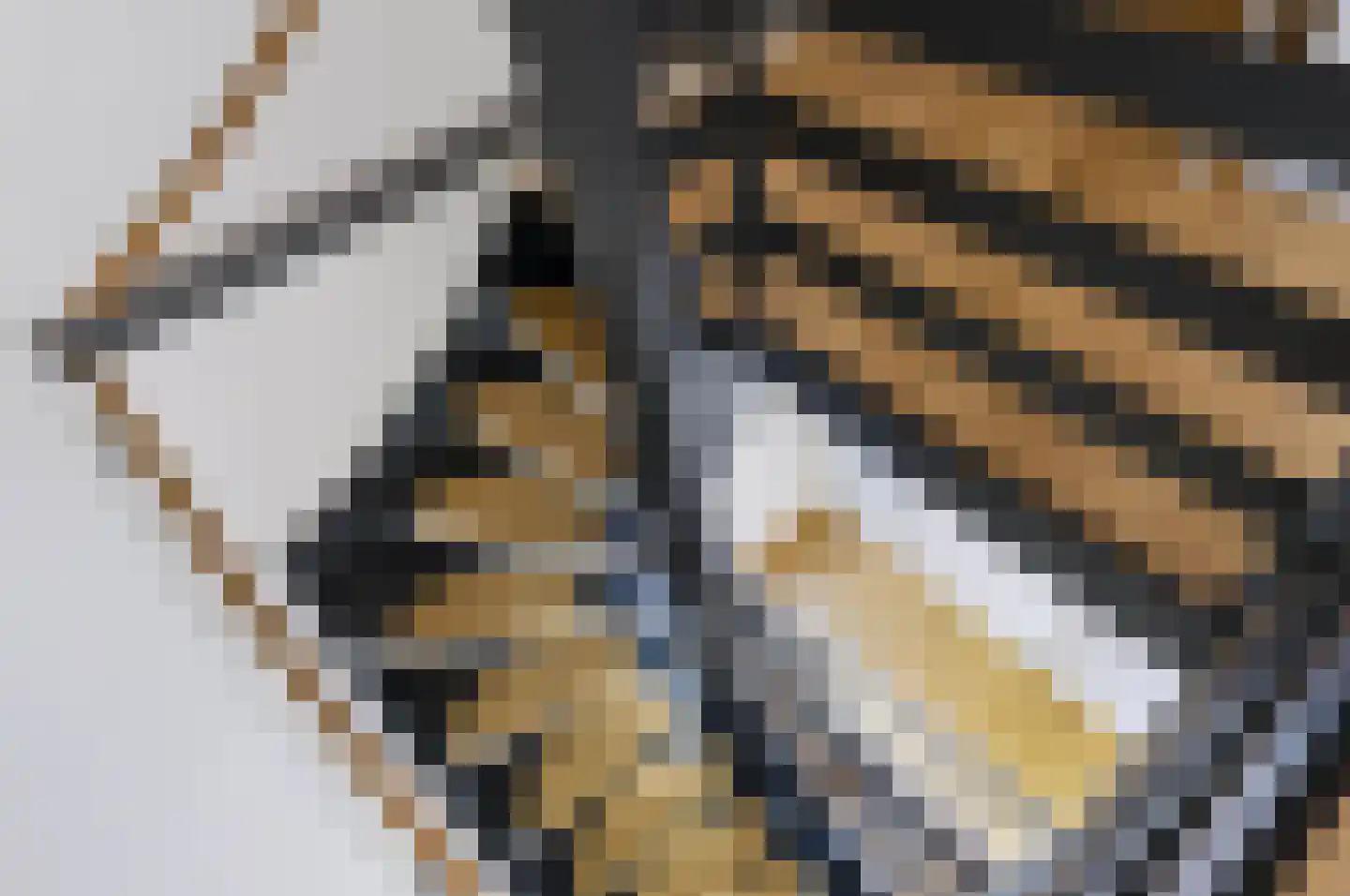 Elzenoord 1 Vaassen thumbnail 31