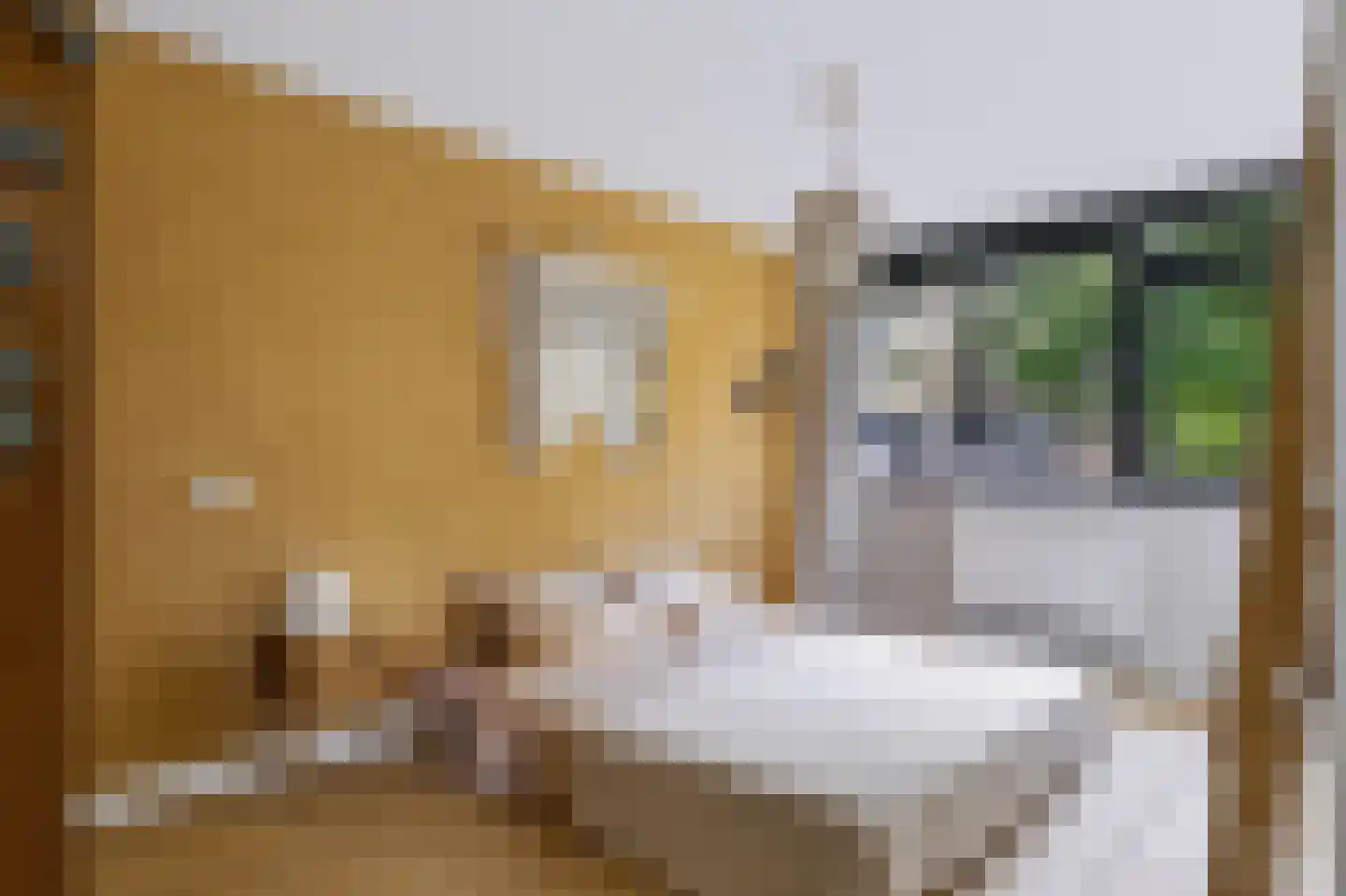 Elzenoord 1 Vaassen thumbnail 34