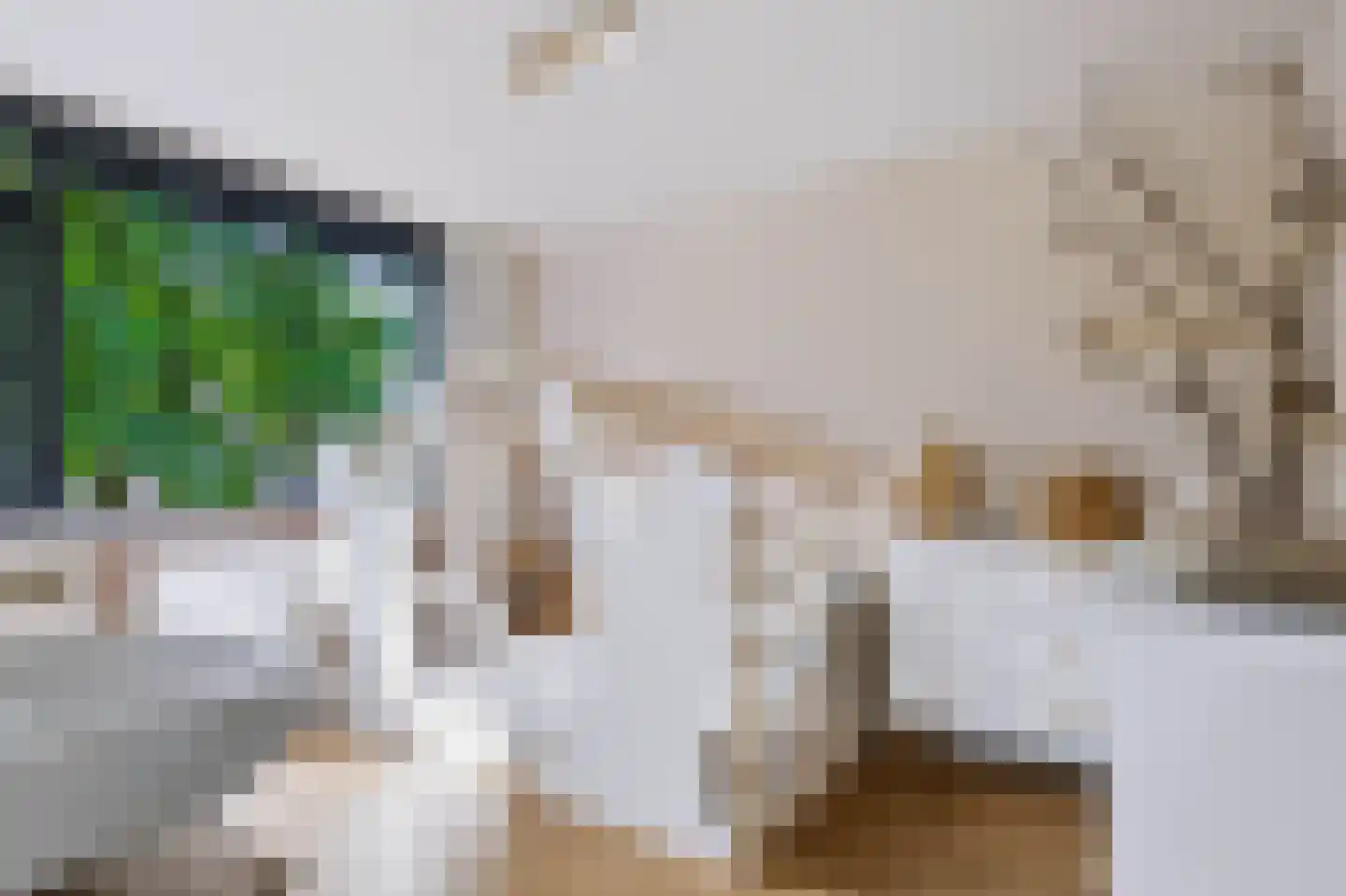 Elzenoord 1 Vaassen thumbnail 36