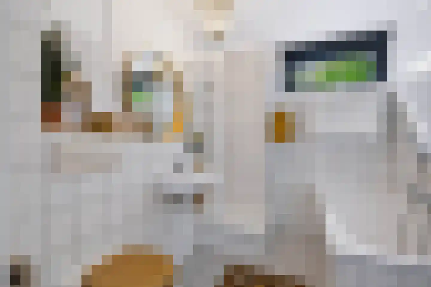 Elzenoord 1 Vaassen thumbnail 37