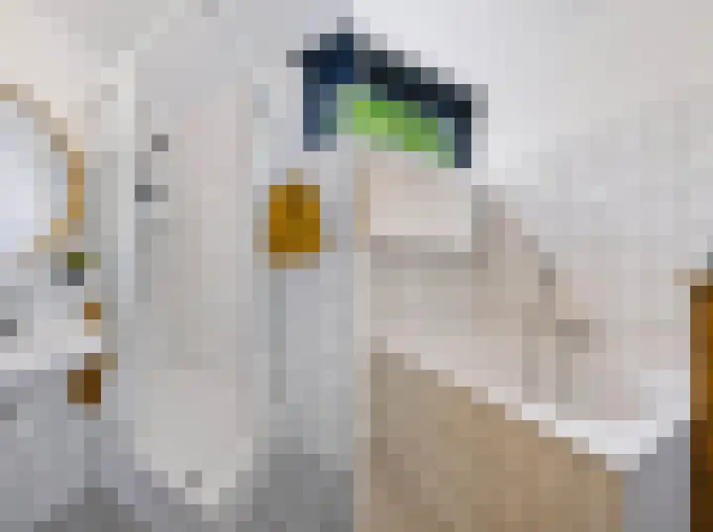 Elzenoord 1 Vaassen thumbnail 38