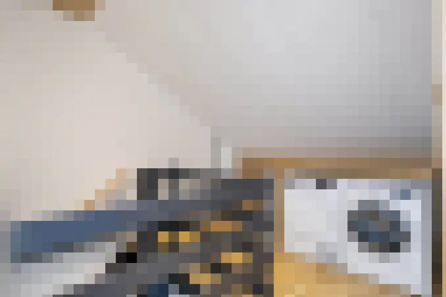 Elzenoord 1 Vaassen thumbnail 39