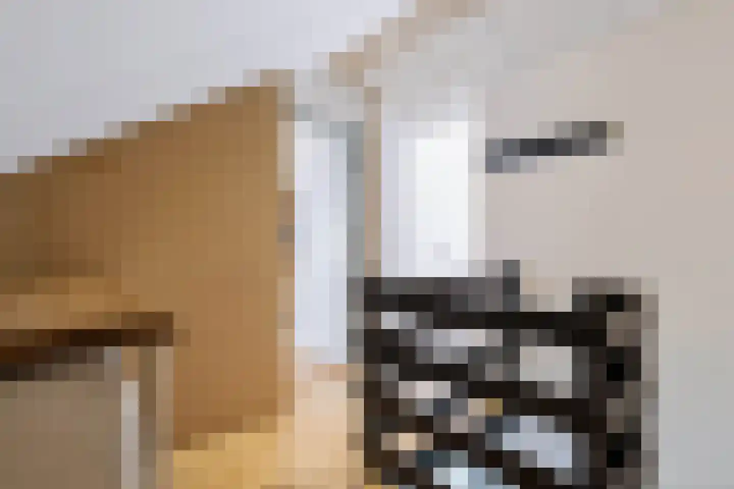 Elzenoord 1 Vaassen thumbnail 40