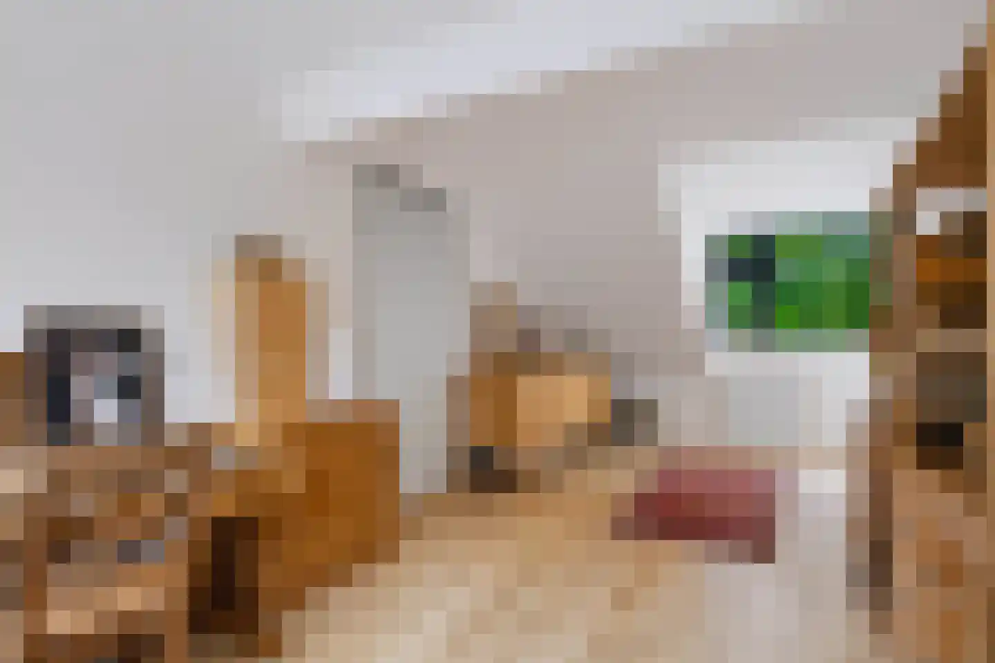 Elzenoord 1 Vaassen thumbnail 41