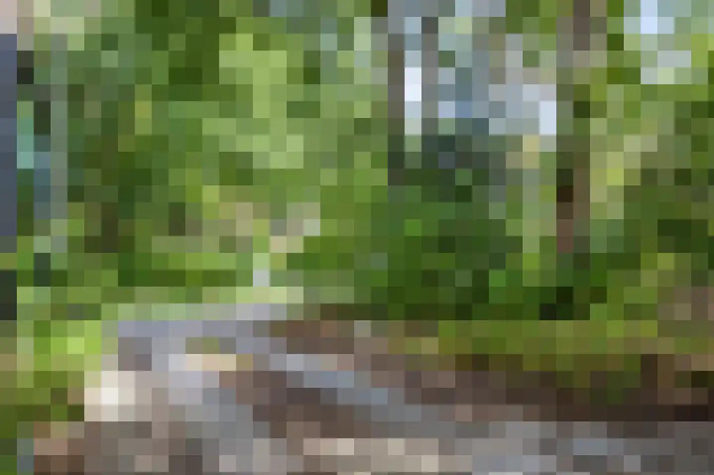 Elzenoord 1 Vaassen thumbnail 48