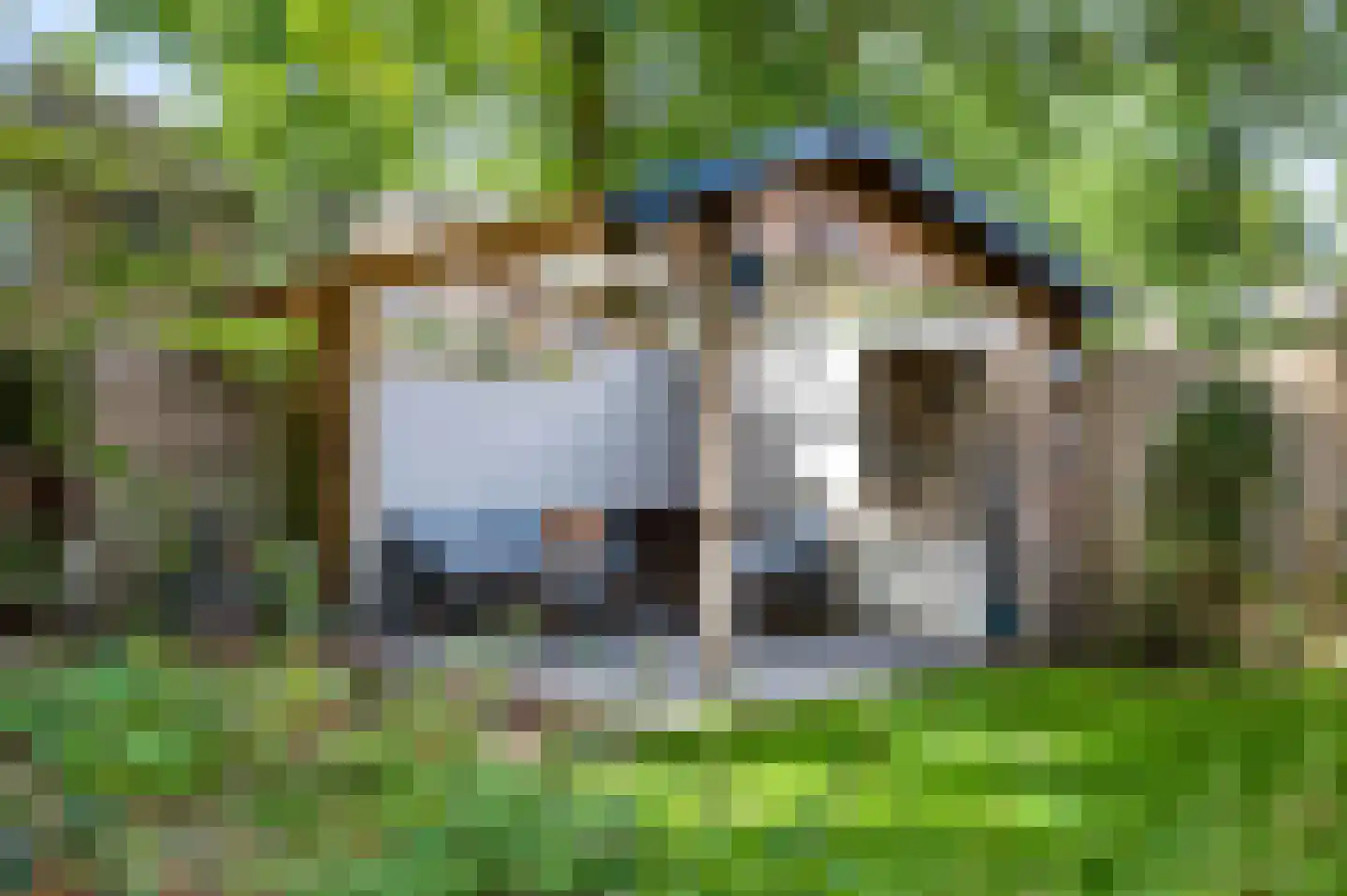 Elzenoord 1 Vaassen thumbnail 5