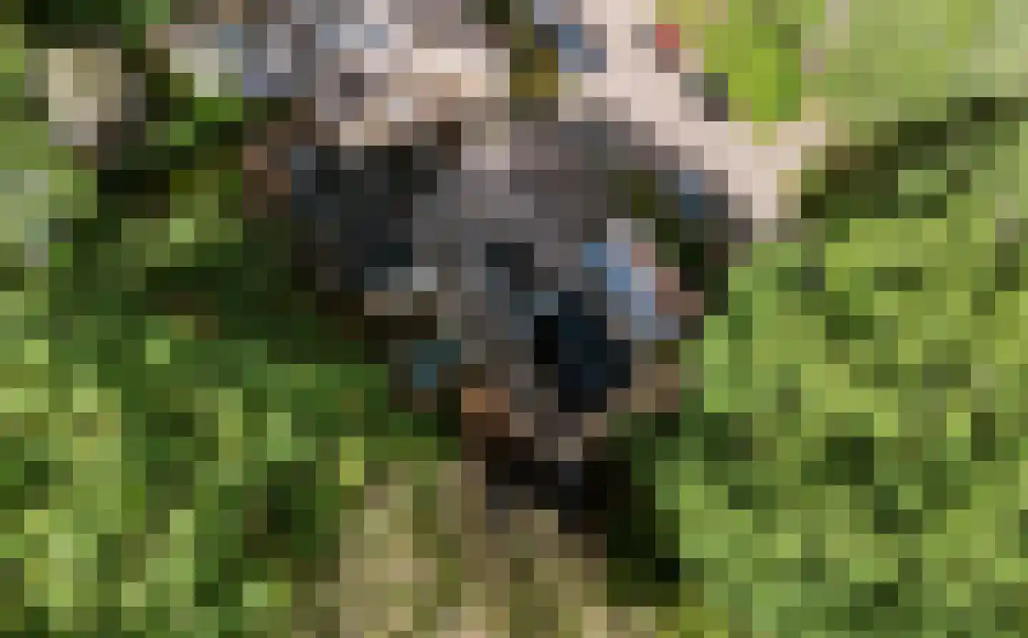 Elzenoord 1 Vaassen thumbnail 51