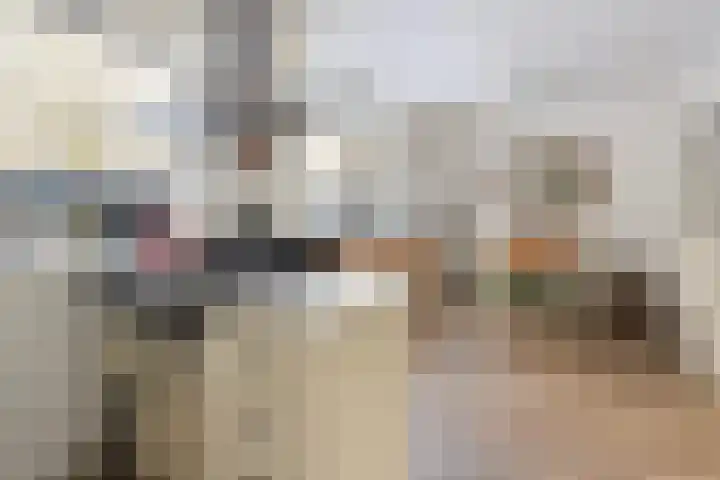 Elzenoord 14 Vaassen thumbnail 11