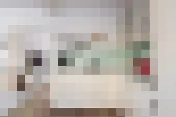 Elzenoord 14 Vaassen thumbnail 12