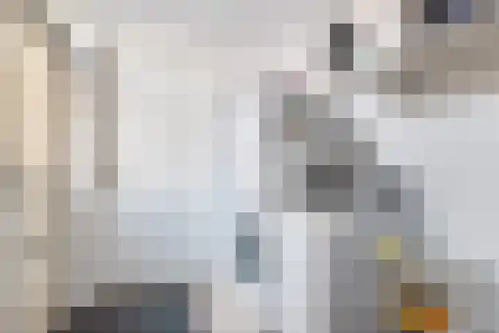 Elzenoord 14 Vaassen thumbnail 14