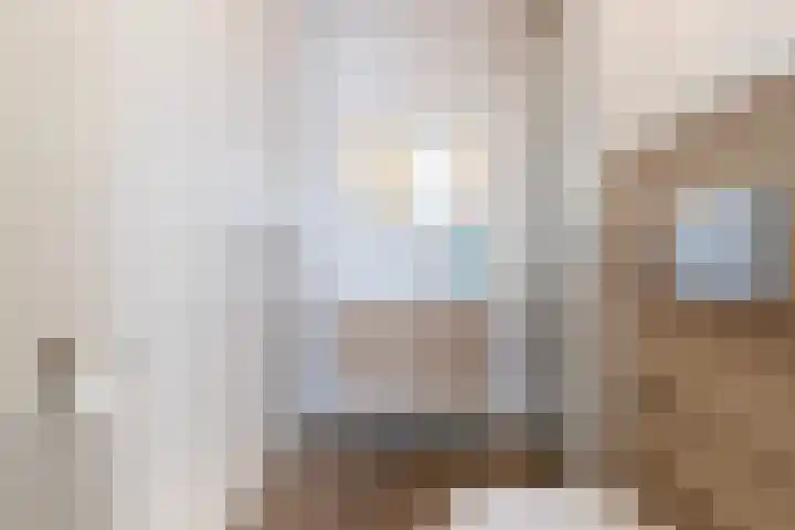 Elzenoord 14 Vaassen thumbnail 15