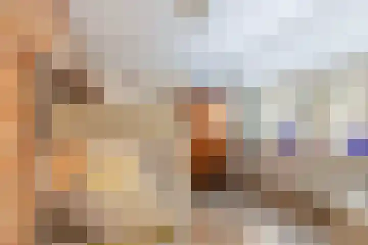 Elzenoord 14 Vaassen thumbnail 18