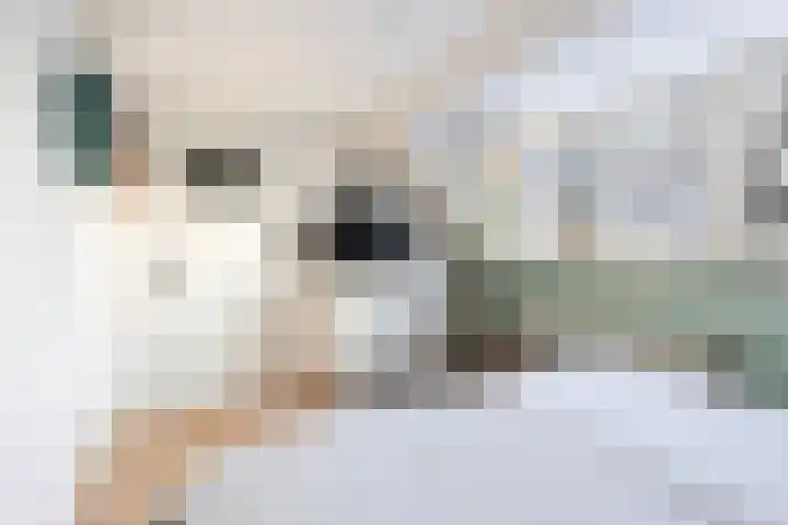 Elzenoord 14 Vaassen thumbnail 19