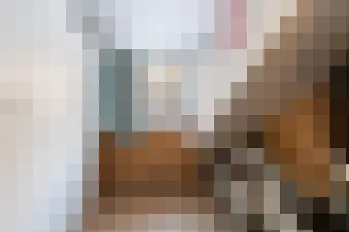 Elzenoord 14 Vaassen thumbnail 20