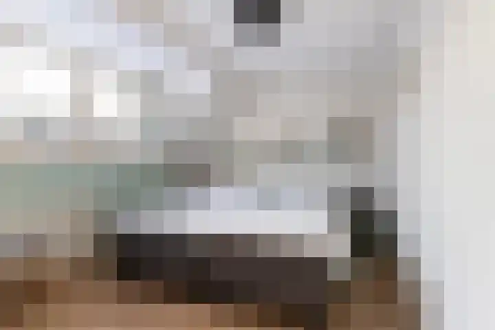Elzenoord 14 Vaassen thumbnail 21